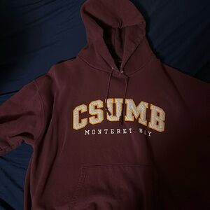 Champion csumb hoodie dark red